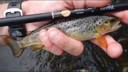 Tenkara vangst.jpg
